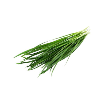 Frischer chinesischer Schnittlauch (ใบกุยช่าย) 100g - Ohayo Asia Shop