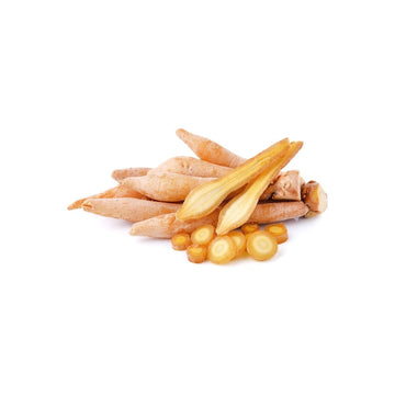 Fingerwurzel (กระชาย) 100g - Ohayo Asia Shop