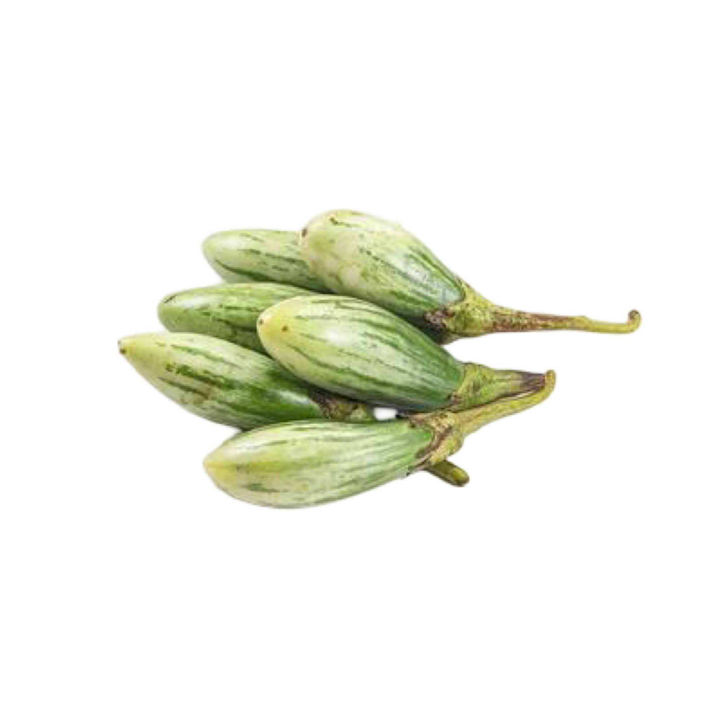 Längliche Thailändische Aubergine (มะเขือเสวย) 100g