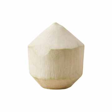 Frische Junge Thai-Trinkkokosnuss 1 Stück (มะพร้าวน้ำหอมสด) - Ohayo Asia Shop