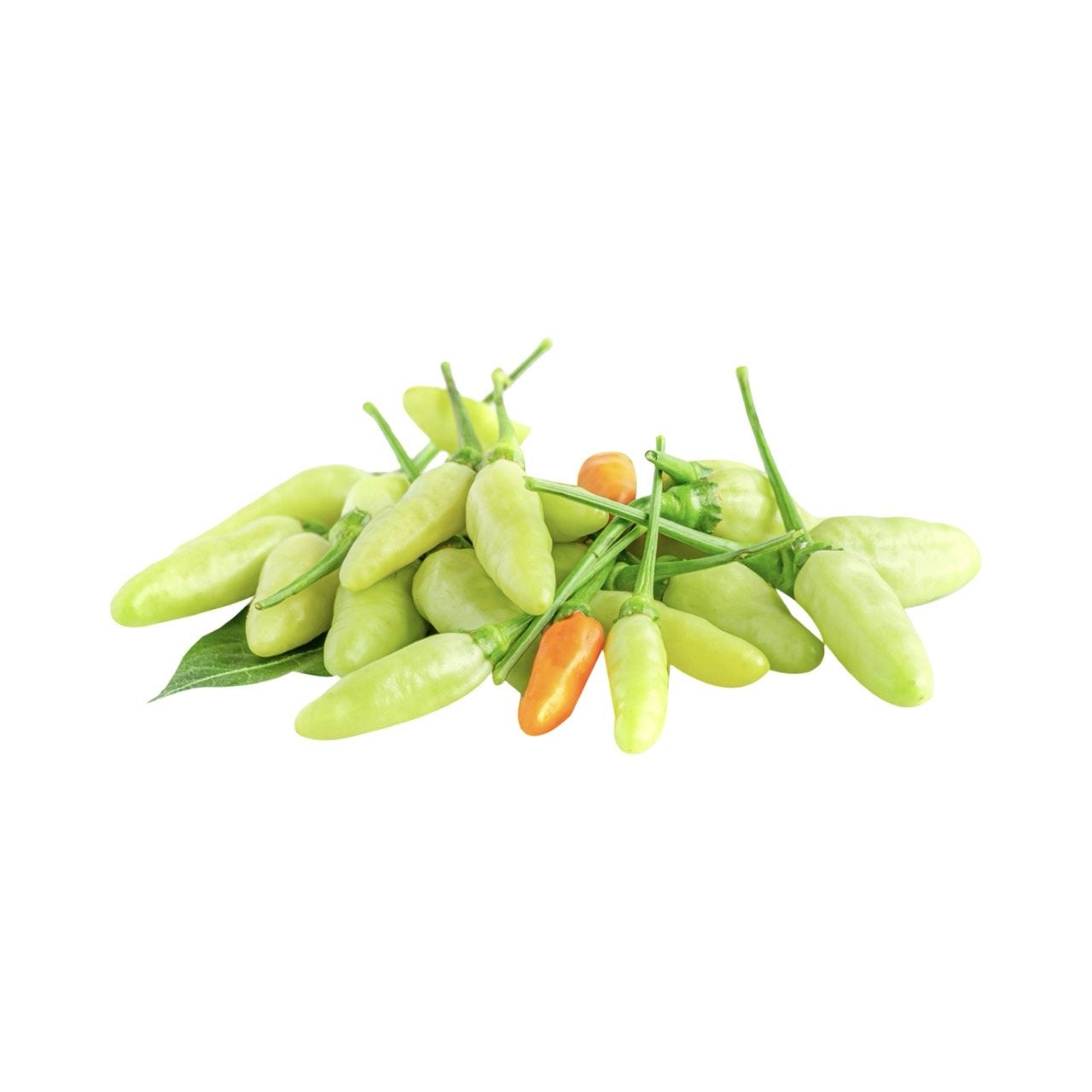 Frische Karen-Chilis (พริกกะเหรี่ยง) 100g
