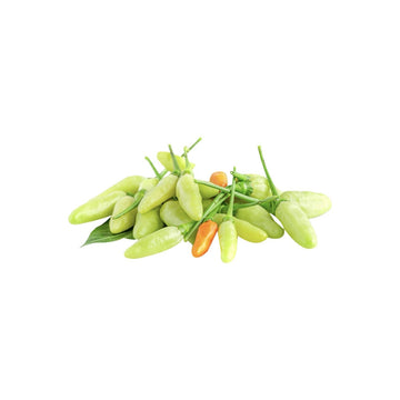 Frische Karen-Chilis (พริกกะเหรี่ยง) 100g - Ohayo Asia Shop