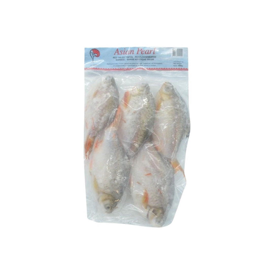 MOOIJER Rotschwanz-Barbe ganz 100/200 (ปลาตะเพียนแช่แข็ง) 1000g - Ohayo Asia Shop