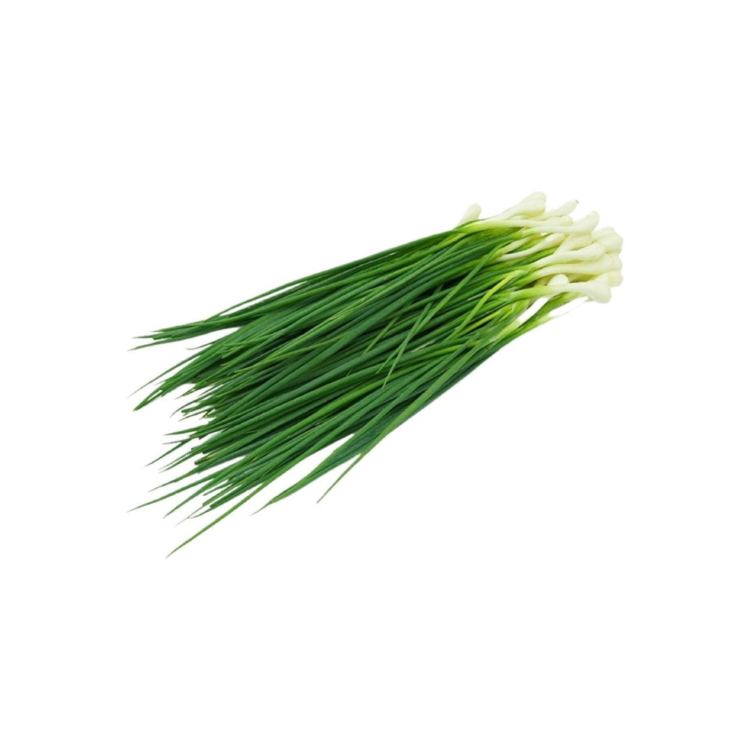Frische Frühlingszwiebeln (ต้นหอม) 100g - Ohayo Asia Shop
