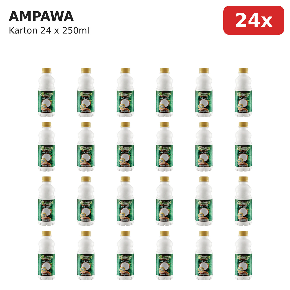 AMPAWA Kokosmilch 100% 24x250ml Karton