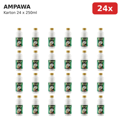AMPAWA Kokosmilch 100% 24x250ml Karton